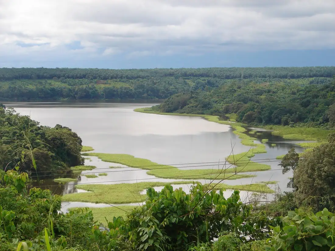 Douala-Edéa National Park & Sanaga River Wildlife Reserve — photo 5