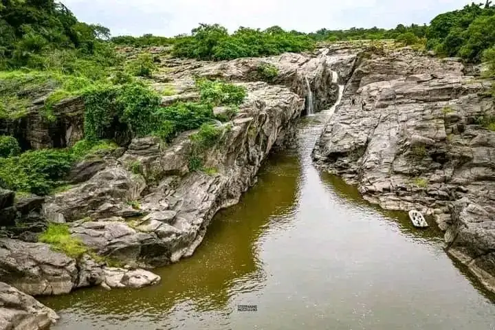 Douala-Edéa National Park & Sanaga River Wildlife Reserve — photo 3