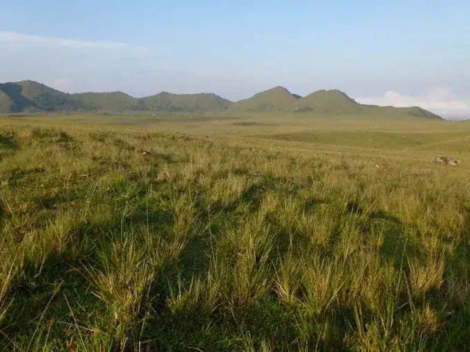 Douala Day Tour: Mount Manengouba Volcano & Twin Lakes — photo 5