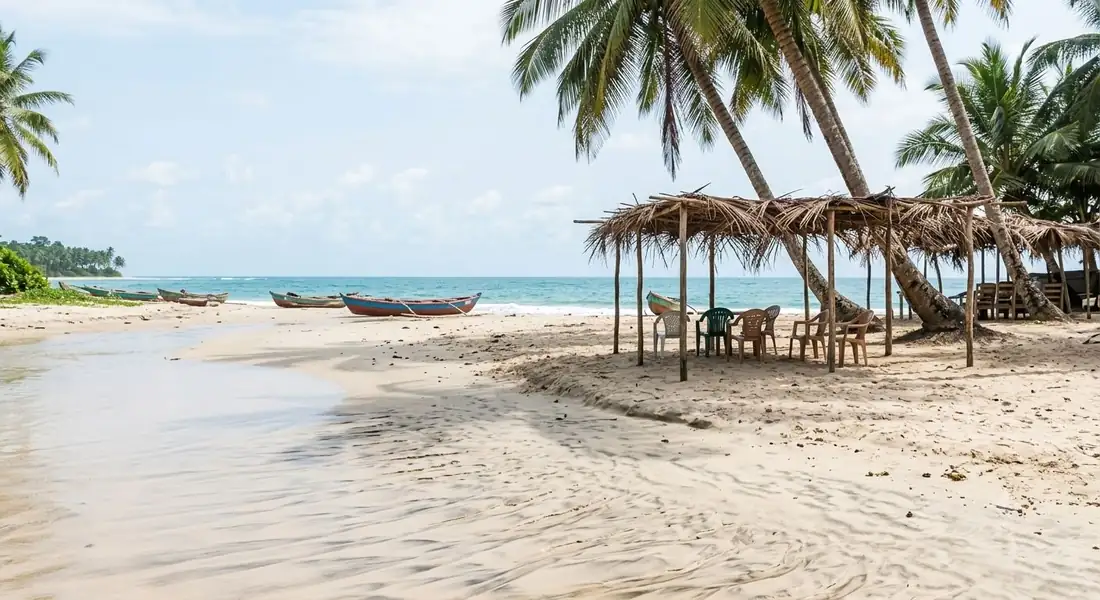 White-sand beach and palm trees in Kribi, Cameroon