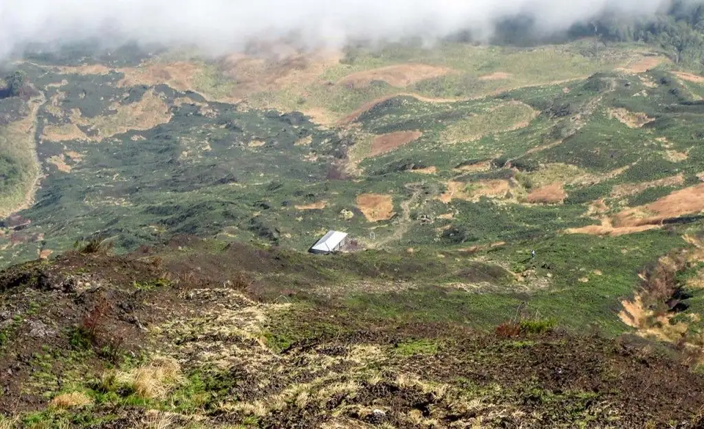 Hikers with a guide on the slopes of Mount Cameroon